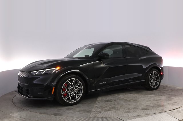 2025 Ford Mustang Mach-E — photo 14 of 27