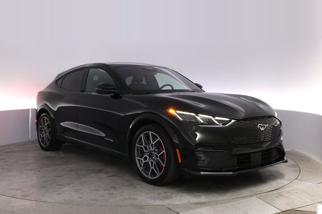 2025 Ford Mustang Mach-E — photo 10 of 27