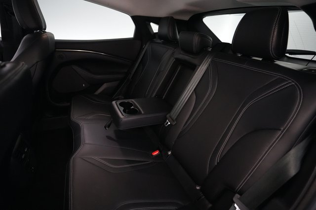 2022 Ford Mustang Mach-E — photo 19 of 25