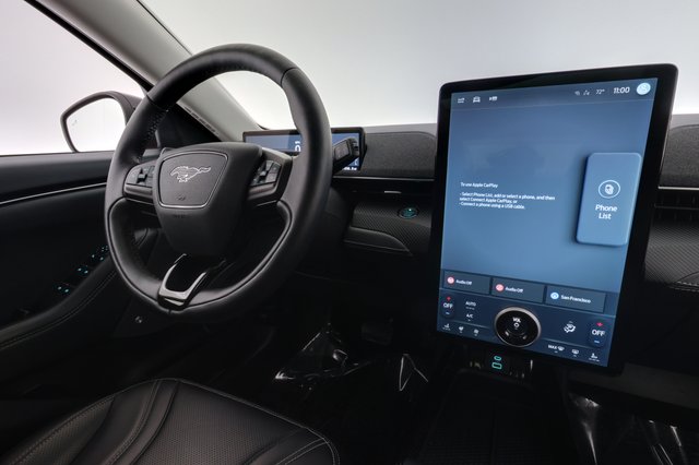 2022 Ford Mustang Mach-E — photo 20 of 25