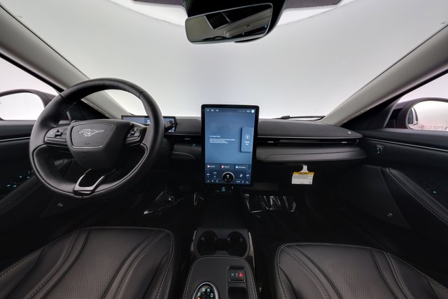 2022 Ford Mustang Mach-E — photo 21 of 25