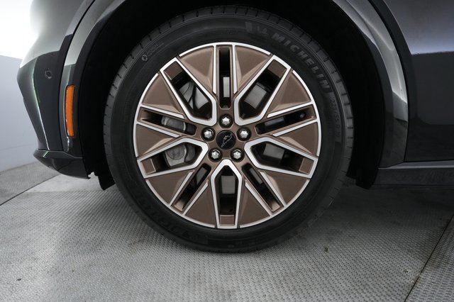 2024 Ford Mustang Mach-E — photo 15 of 29