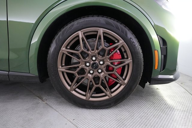 2025 Ford Mustang Mach-E — photo 16 of 21