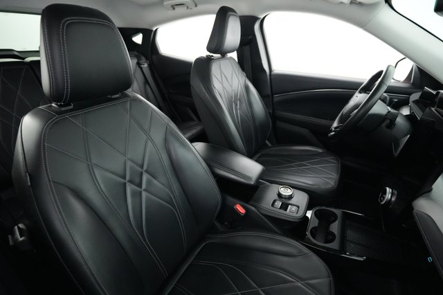 2021 Ford Mustang Mach-E — photo 18 of 28