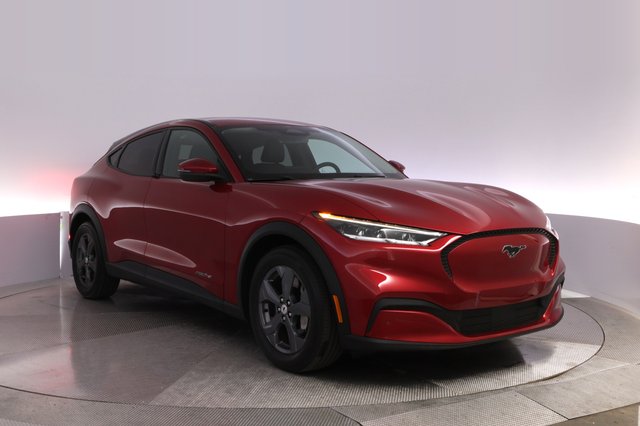 2021 Ford Mustang Mach-E — photo 10 of 28