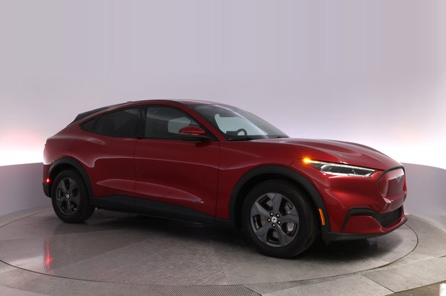 2021 Ford Mustang Mach-E — photo 11 of 28