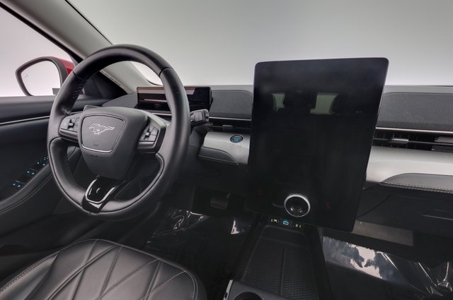 2021 Ford Mustang Mach-E — photo 20 of 28