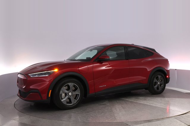 2021 Ford Mustang Mach-E — photo 14 of 28