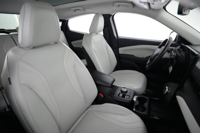 2022 Ford Mustang Mach-E — photo 18 of 24