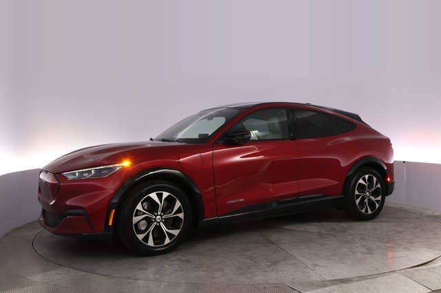 2022 Ford Mustang Mach-E — photo 14 of 24