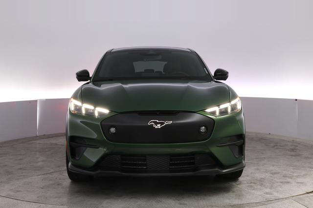 2025 Ford Mustang Mach-E — photo 9 of 23