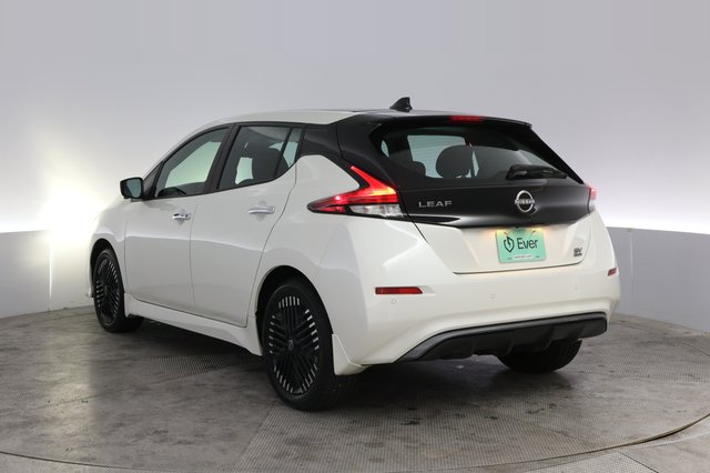 2024 Nissan LEAF — photo 13 of 20