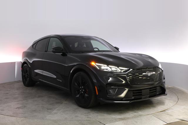 2025 Ford Mustang Mach-E — photo 10 of 24
