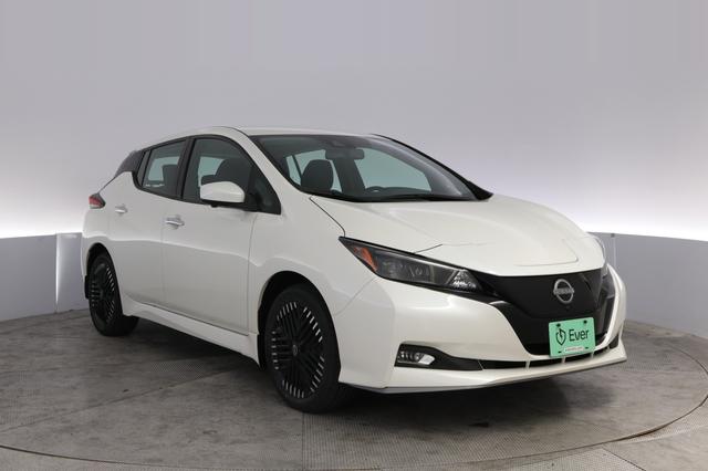 2024 Nissan LEAF — photo 10 of 24