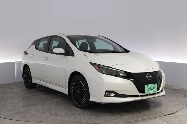 2024 Nissan LEAF — photo 10 of 24