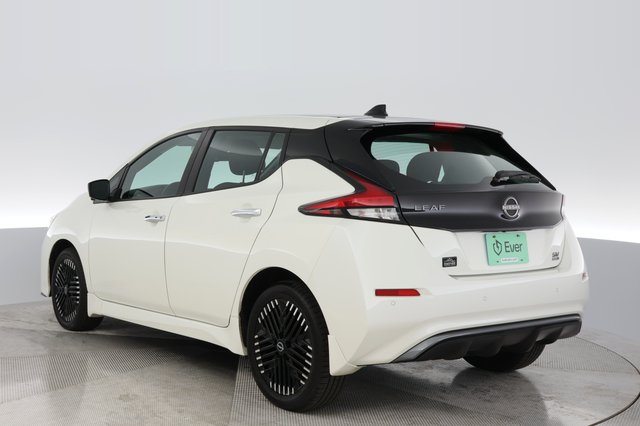2024 Nissan LEAF — photo 13 of 22