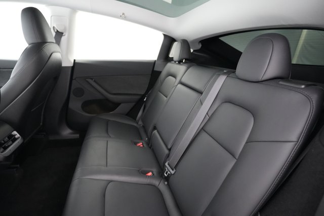 2024 Tesla Model Y — photo 19 of 24