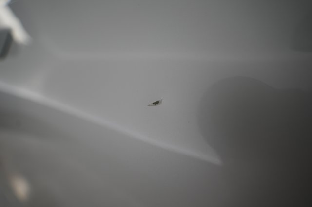 2023 Polestar 2 — photo 27 of 32