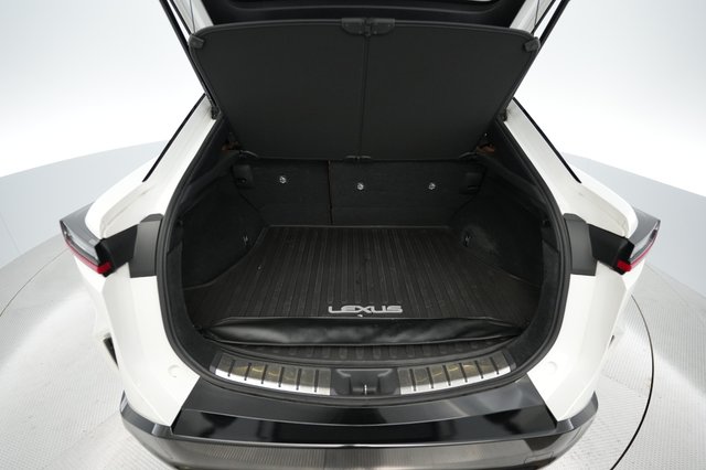 2024 Lexus RZ — photo 6 of 18