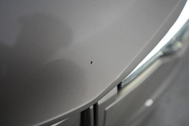 2024 Polestar 2 — photo 24 of 26
