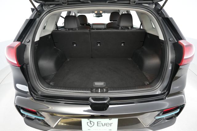 2019 Kia Niro EV — photo 6 of 27
