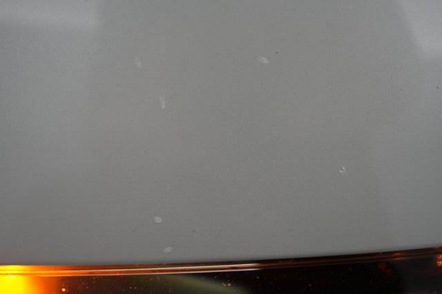 2023 Tesla Model Y — photo 24 of 26