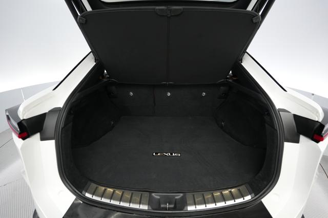 2023 Lexus RZ — photo 6 of 25