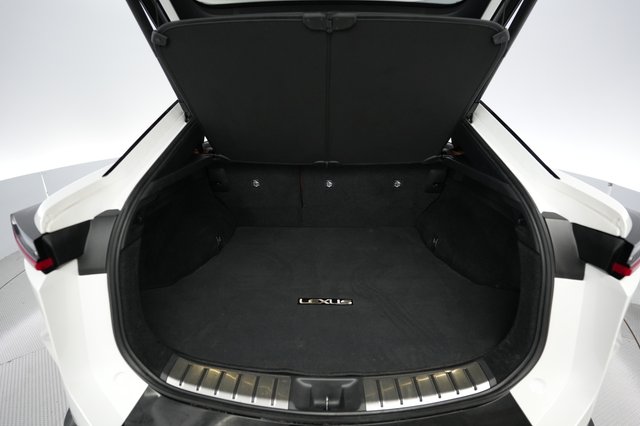 2023 Lexus RZ — photo 6 of 25