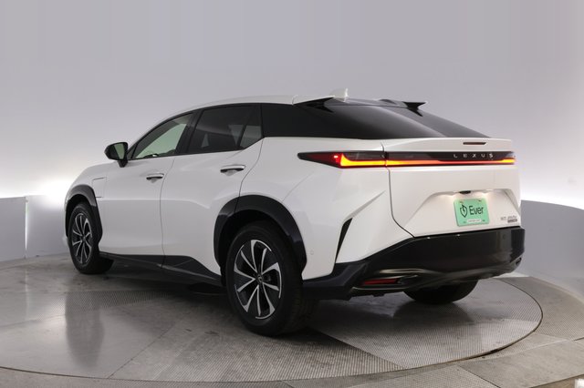 2023 Lexus RZ — photo 13 of 25