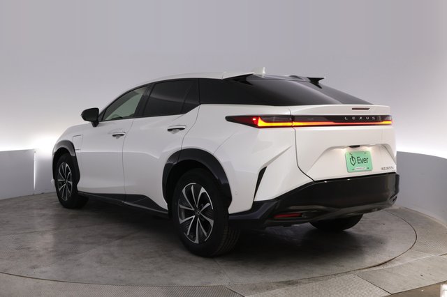2024 Lexus RZ — photo 13 of 28