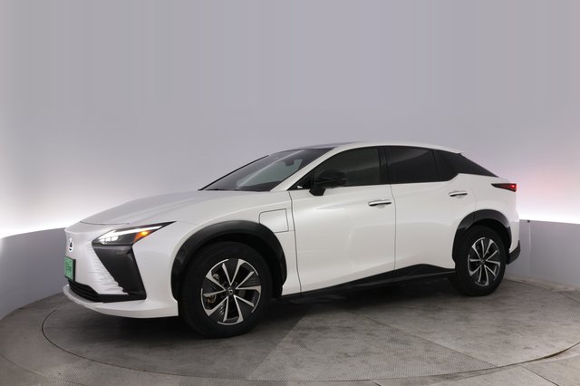 2024 Lexus RZ — photo 14 of 28
