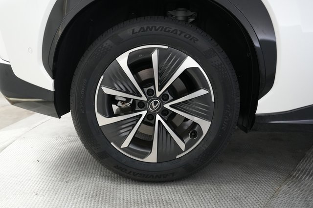 2024 Lexus RZ — photo 17 of 28