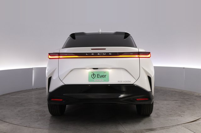 2024 Lexus RZ — photo 12 of 28