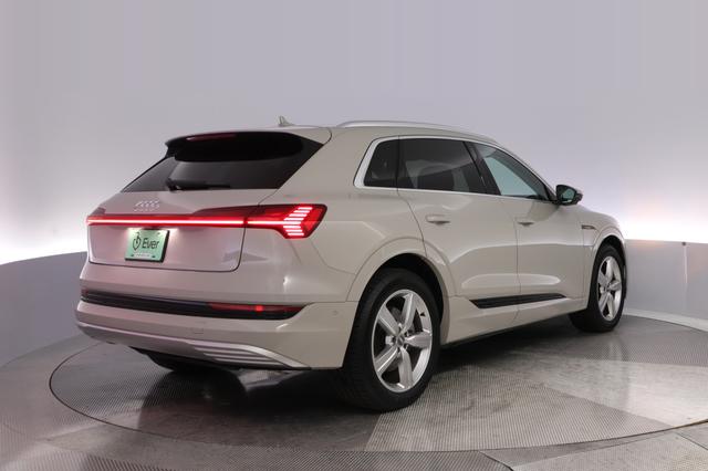 2019 Audi e-tron — photo 2 of 28
