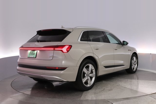 2019 Audi e-tron — photo 2 of 28